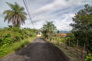 Atenas Homesite in Gated Community