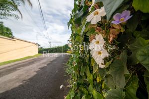 Atenas Homesite in Gated Community