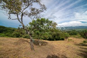 Atenas Homesite in Gated Community