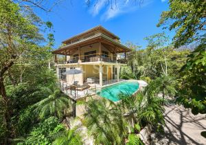 Casa Arbol