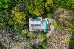 Casa Arbol