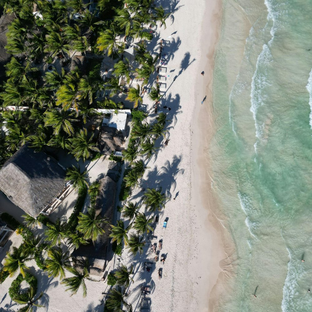 Aerial view of a white sand beach lined with palm trees, Riviera Maya