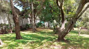 Morenos Urban Reserve