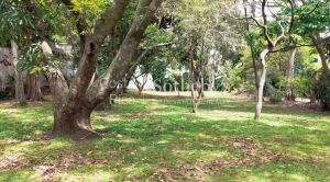 Morenos Urban Reserve
