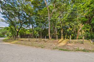 Lote Cenizaro | L-15.a
