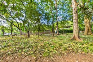 Lote Cenizaro | L-15.a