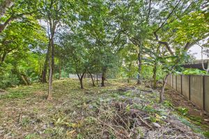 Lote Cenizaro | L-15.a
