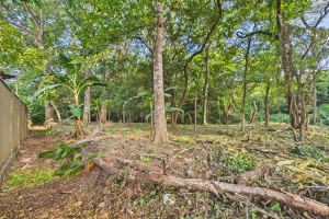 Lote Cenizaro | L-15.a
