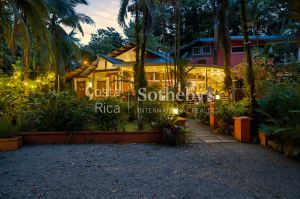 The Caribbean Nest
