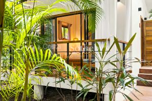 The Caribbean Nest
