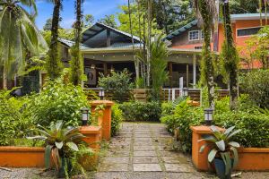 The Caribbean Nest