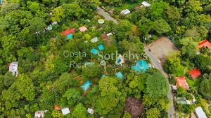 The Caribbean Nest