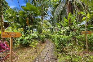 The Caribbean Nest