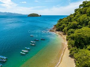 The Cove