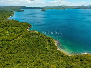 The Cove