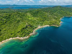 The Cove