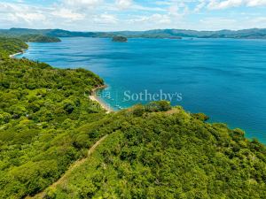 The Cove