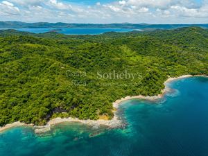 The Cove