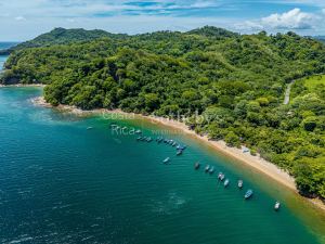 The Cove