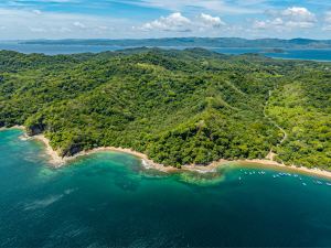 The Cove
