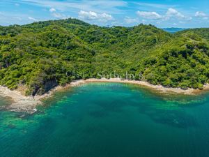 The Cove