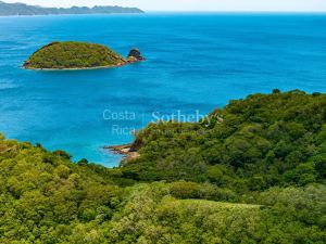 The Cove