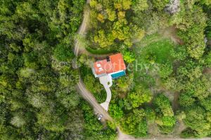 Villa Tranquila