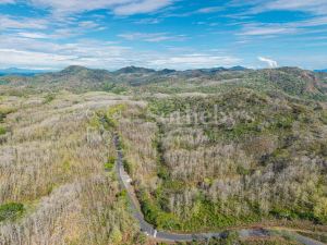 El Vivero Development Land (I & II)