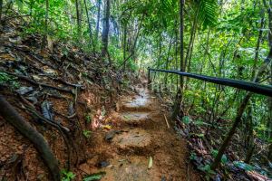Dominical Yoga Retreat and Nature Reserve