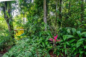 Dominical Yoga Retreat and Nature Reserve