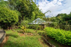 Dominical Yoga Retreat and Nature Reserve