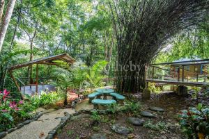Dominical Yoga Retreat and Nature Reserve