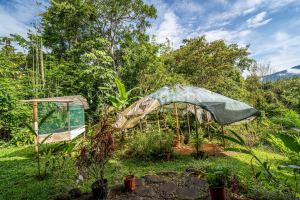 Dominical Yoga Retreat and Nature Reserve
