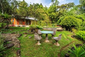 Dominical Yoga Retreat and Nature Reserve