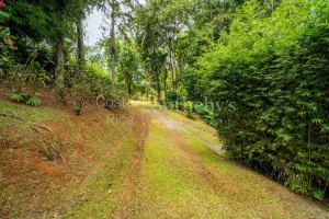 Dominical Yoga Retreat and Nature Reserve