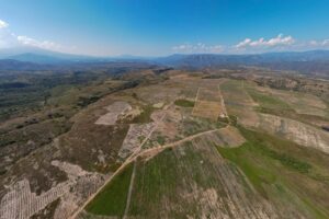 Land 900 Hectares for SALE