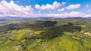 Land for Sale at Tapalpa, Near La Frontera