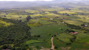 Land for Sale at Tapalpa, Near La Frontera