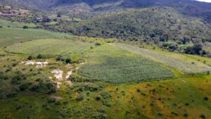 Land for Sale at Tapalpa, Near La Frontera