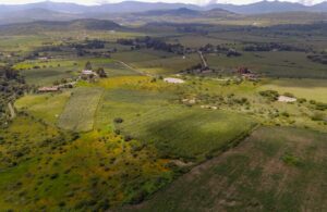 Land for Sale at Tapalpa, Near La Frontera
