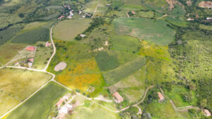 Land for Sale at Tapalpa, Near La Frontera
