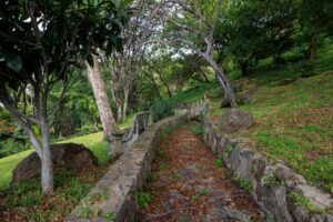 Price Improvement, Residencia Bosque Mediterráneo en Cañadas