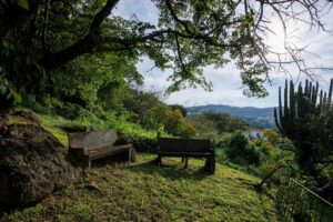 Price Improvement, Residencia Bosque Mediterráneo en Cañadas
