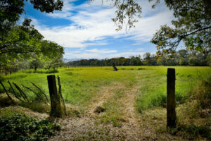 Rancho Sabinal del Arroyo, Ixtlahuacán de los Membrillos en venta