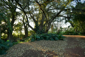 Rancho Sabinal del Arroyo, Ixtlahuacán de los Membrillos en venta