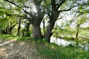 Rancho Sabinal del Arroyo, Ixtlahuacán de los Membrillos en venta