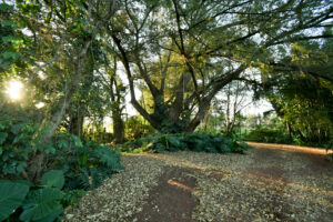 Rancho Sabinal del Arroyo, Ixtlahuacán de los Membrillos en venta