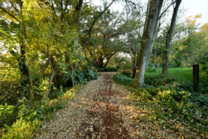 Rancho Sabinal del Arroyo, Ixtlahuacán de los Membrillos en venta