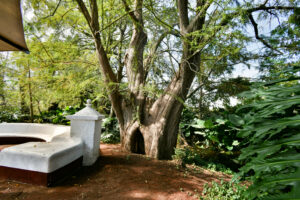 Rancho Sabinal del Arroyo, Ixtlahuacán de los Membrillos en venta
