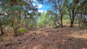 Terreno en venta en Pinares Tapalpa